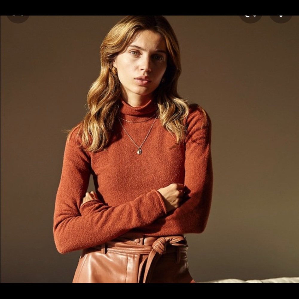 Aritzia Wilfred darling sweater.